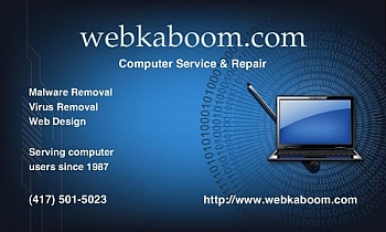 Webkaboom.com, Malicious Software Removal